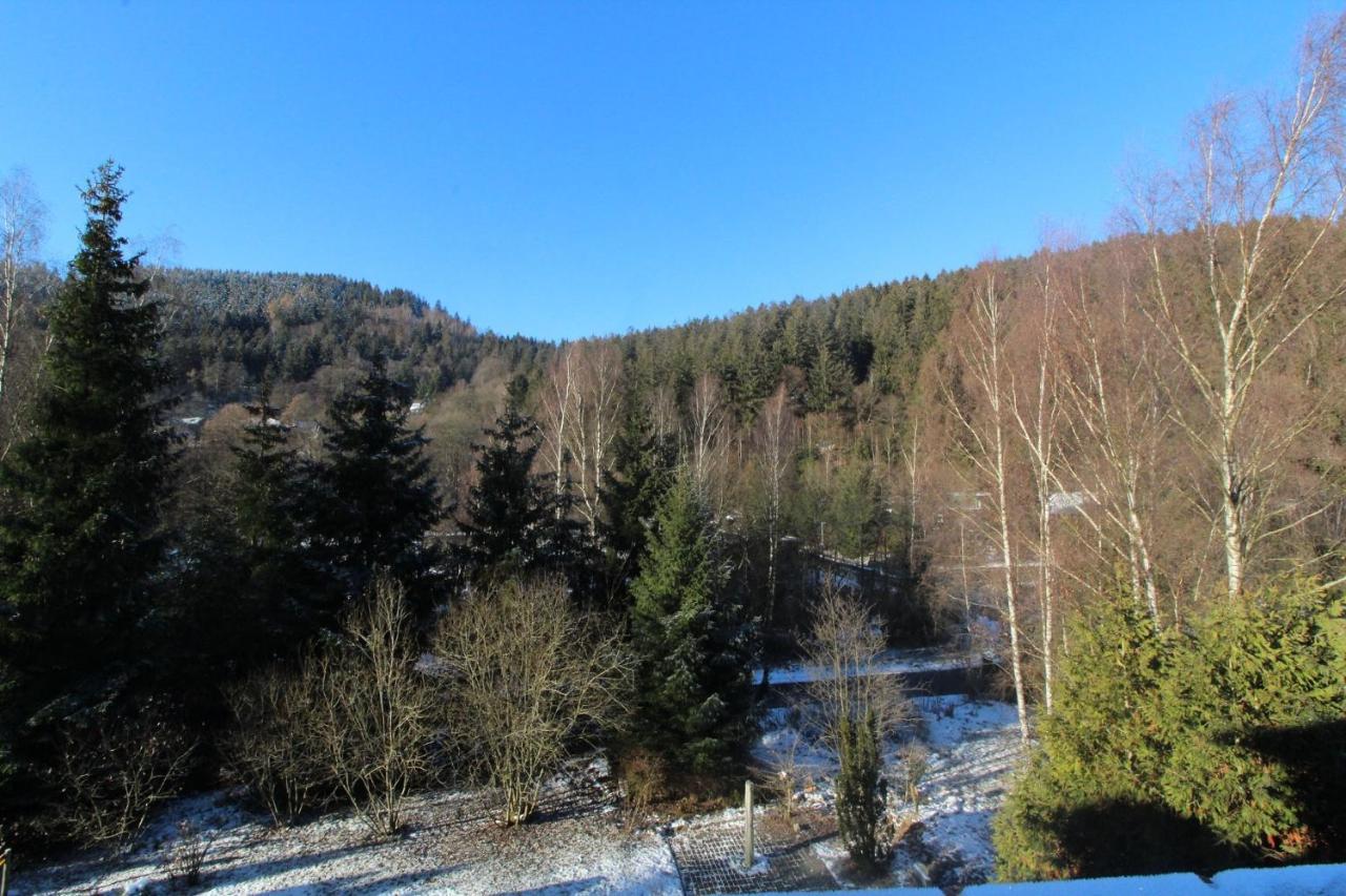 Home-Im-Harz Lautenthal Bagian luar foto